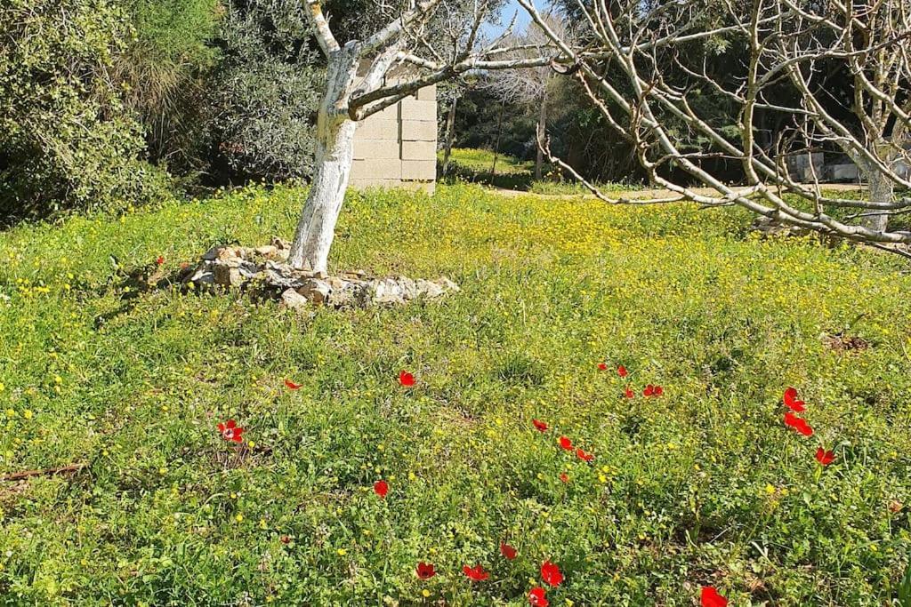 הבית ליד הבוסתן Mikhmannim Exterior photo