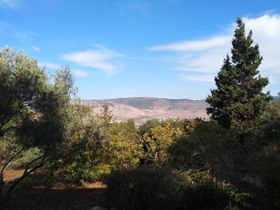 הבית ליד הבוסתן Mikhmannim Exterior photo