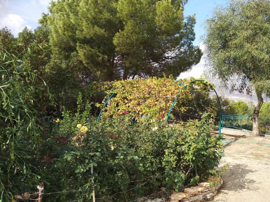 הבית ליד הבוסתן Mikhmannim Exterior photo