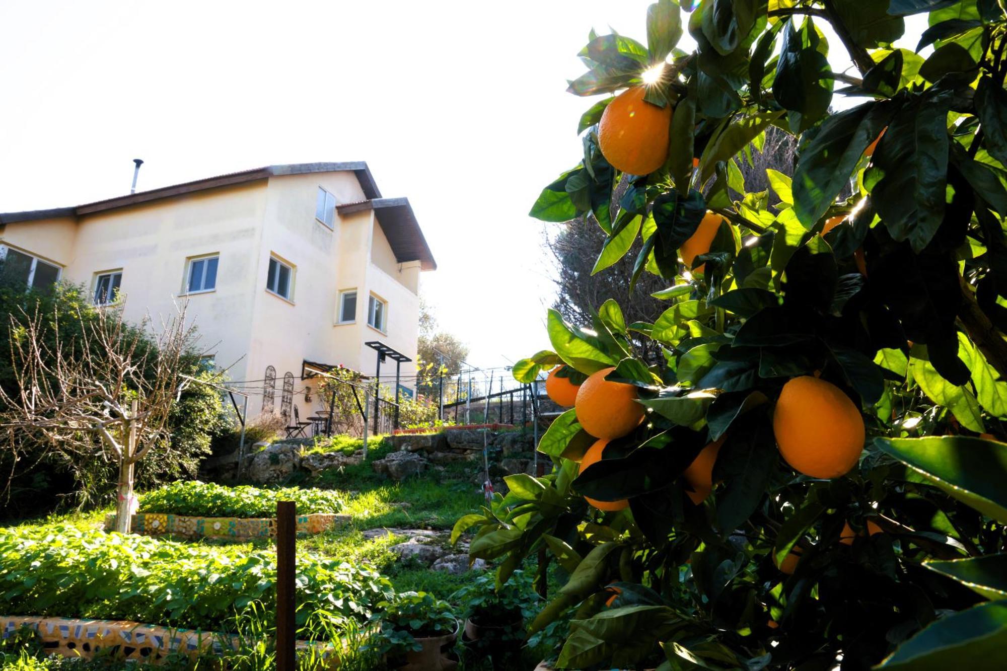 הבית ליד הבוסתן Mikhmannim Exterior photo